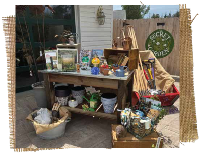 Shop-img-2