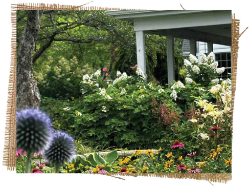 and-the-secret-garden