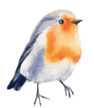 bird-1