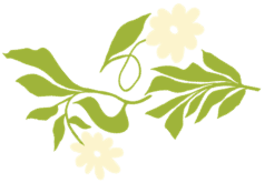plant-image